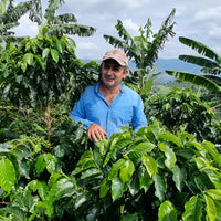 Alirio Rodriguez • Colombia • Rosado