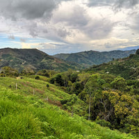 Amenaza Menor • Colombia • Decaf