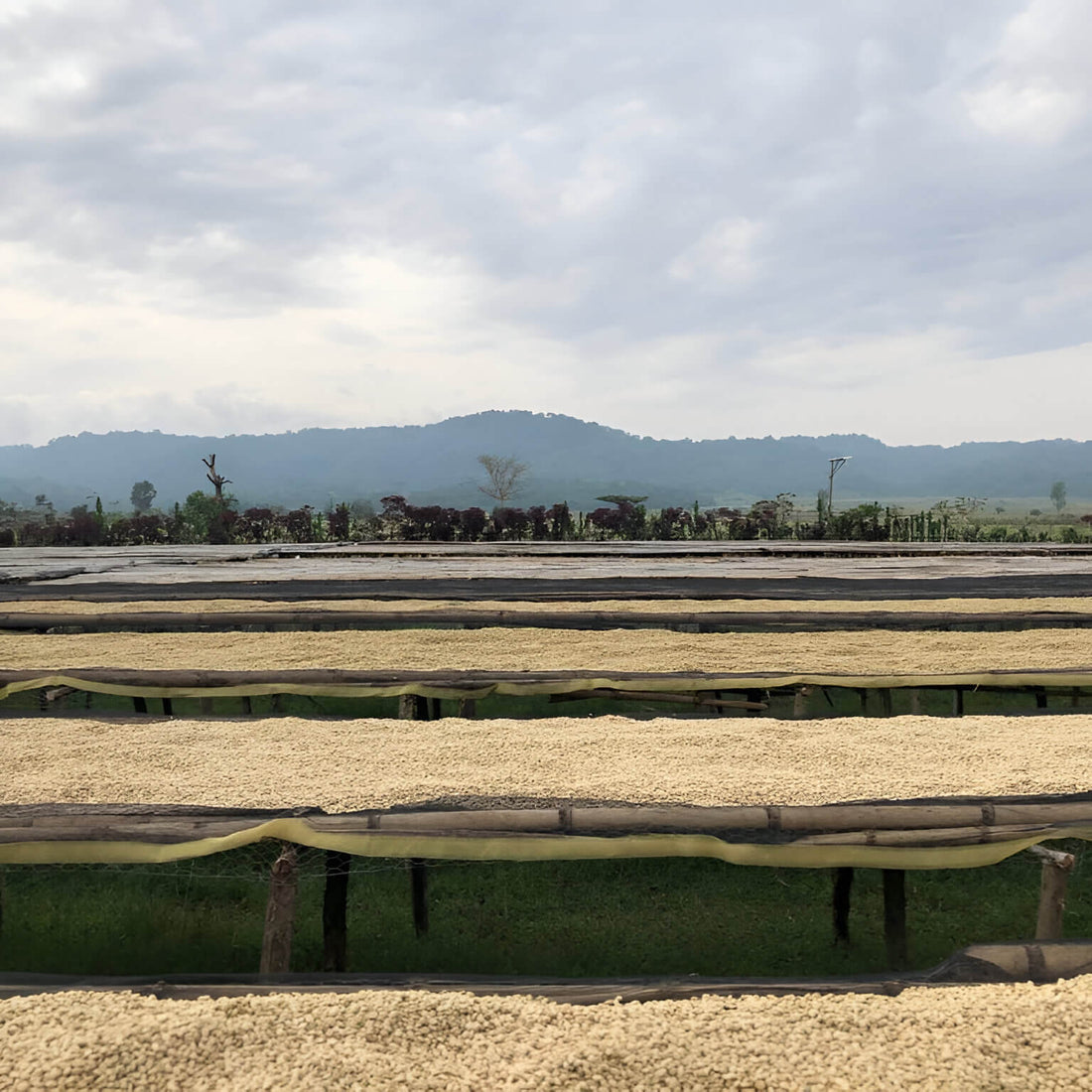 Aricha Station • Ethiopia
