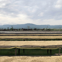 Aricha Station • Ethiopia