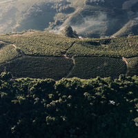 Fazenda Soledade • Brazil • Espresso