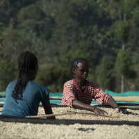 Chelbesa • Ethiopia
