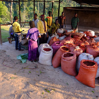Guji Uraga • Ethiopia • Carbonic Maceration