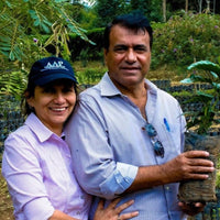 Finca Aurora • Nicaragua