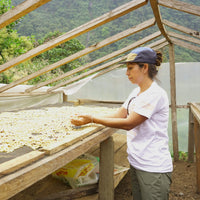 Valle de Monzón • Peru • Espresso