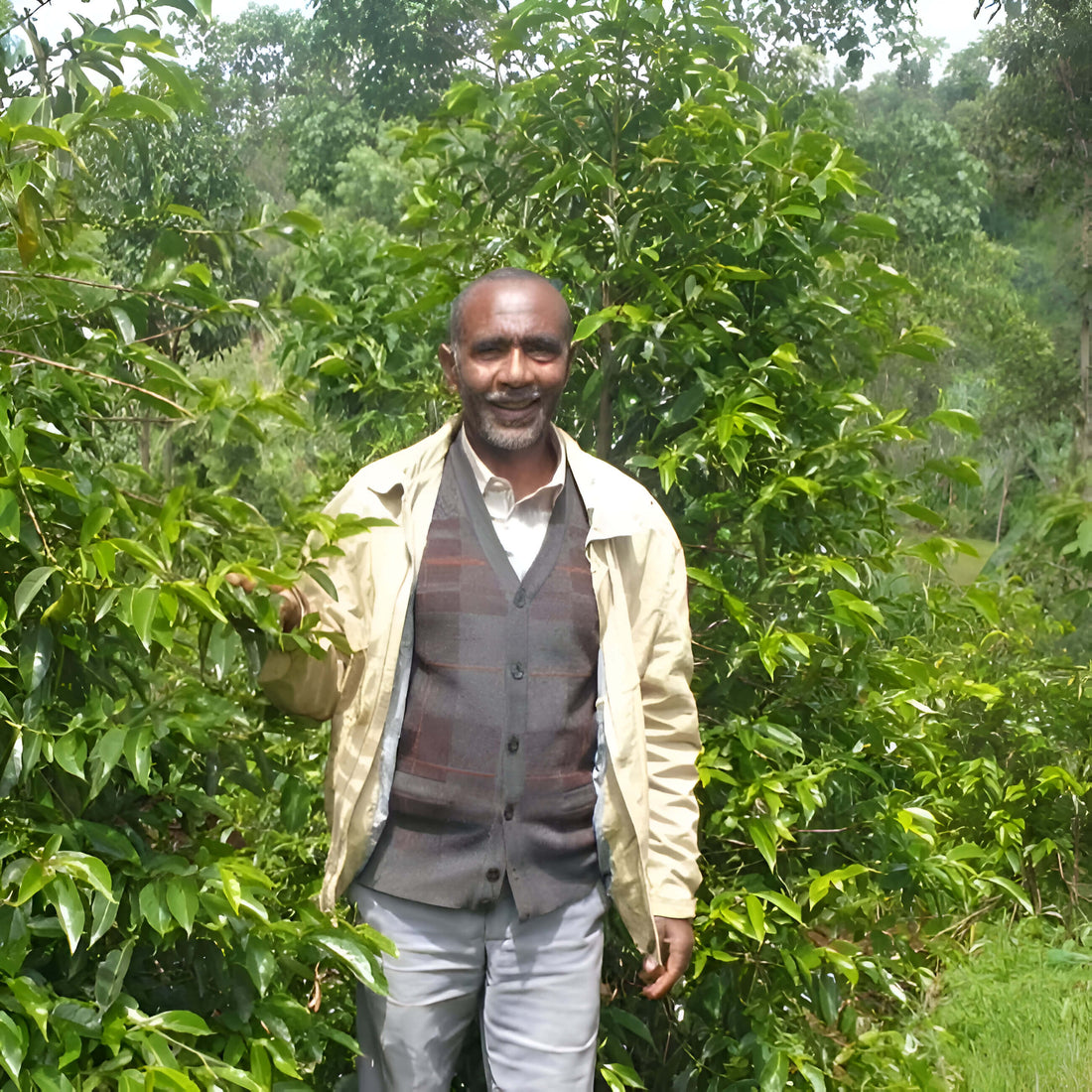 Abebe Hewiso • Ethiopia • Espresso