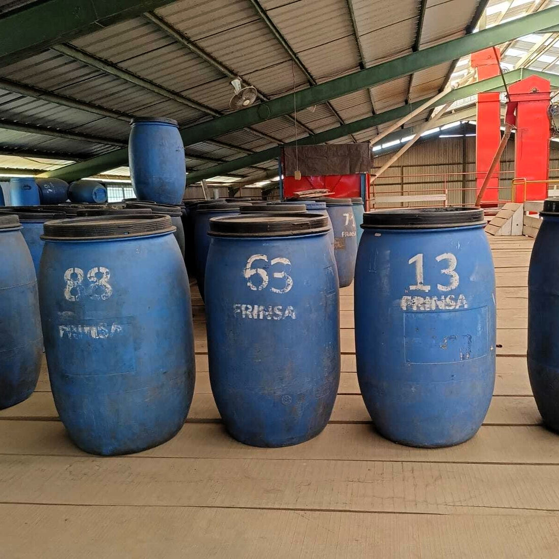 Frinsa Edun • Indonesia • Lactobacillus