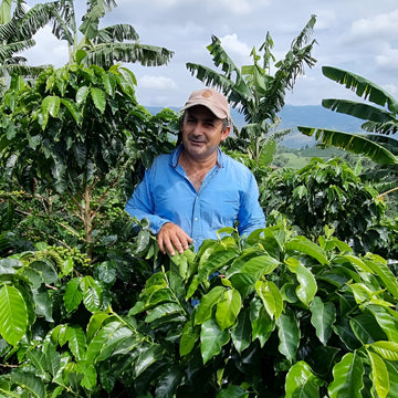 Alirio Rodriguez • Colombia • Pink Bourbon