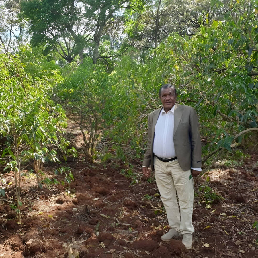 Bekele Suse • Etiopia • Bærtørket