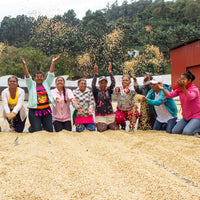 Finca Aurora • Nicaragua