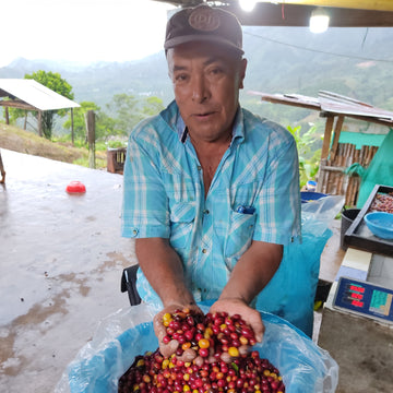 Alonso Bustos  • Colombia