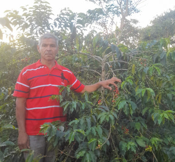 Policarpo Yossa Rojos • Colombia • Gesha