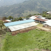 Alirio Rodriguez • Colombia • Caturron