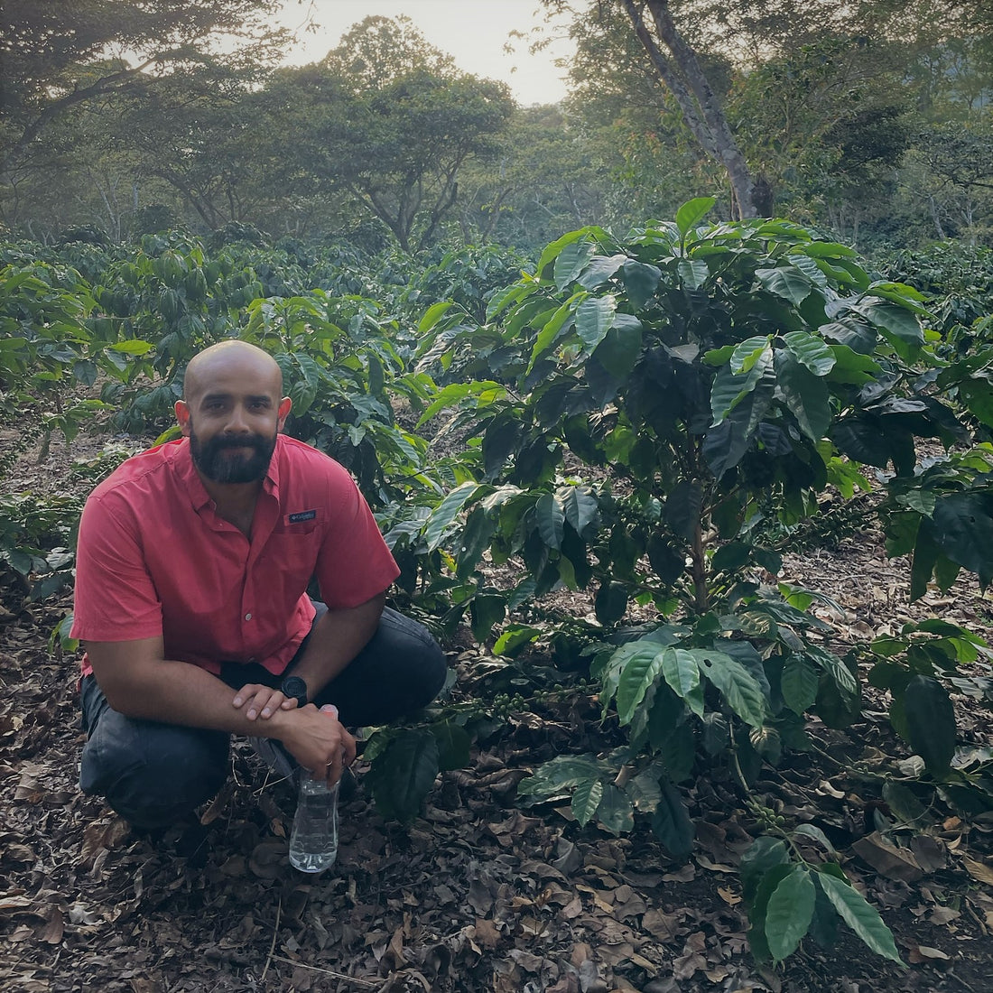 Hacienda El Guarsin • Guatemala