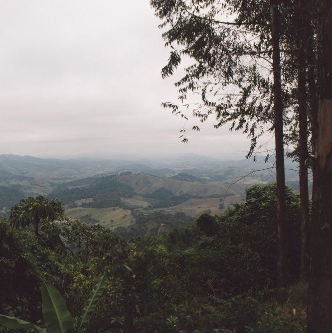 Sao Francisco Da Bela Vista • Brasil